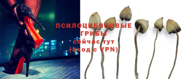 стаф Балахна