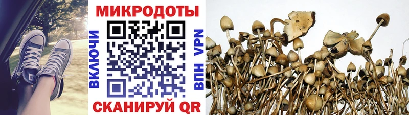 Псилоцибиновые грибы ЛСД Тында