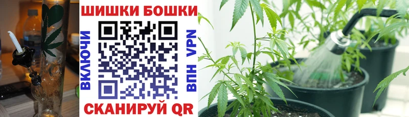 Бошки Шишки план  ОМГ ОМГ маркетплейс  Тында 