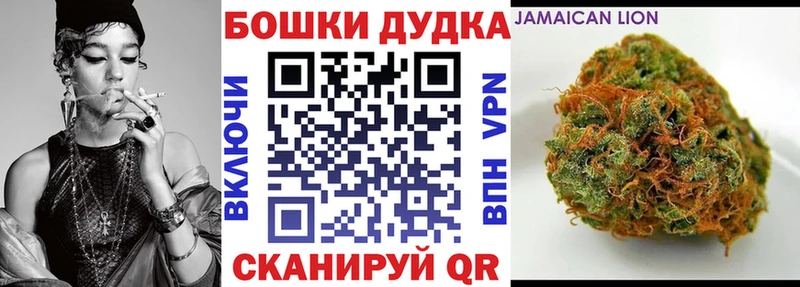 Канабис сатива Тында